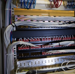 Close-Up-of-rack-mou